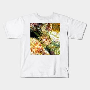 Jewell Sea Urchin on a Coral Reef Kids T-Shirt